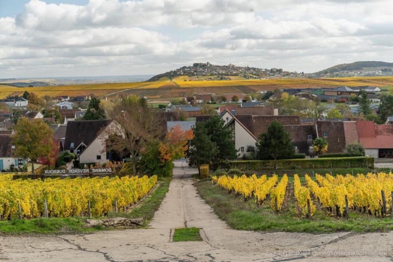 Le Logis St Pere Vila Sancerre Exterior foto