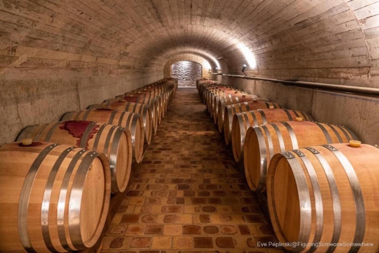 Le Logis St Pere Vila Sancerre Exterior foto