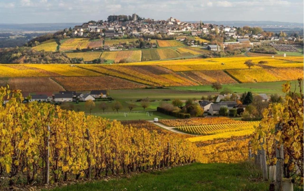 Le Logis St Pere Vila Sancerre Exterior foto